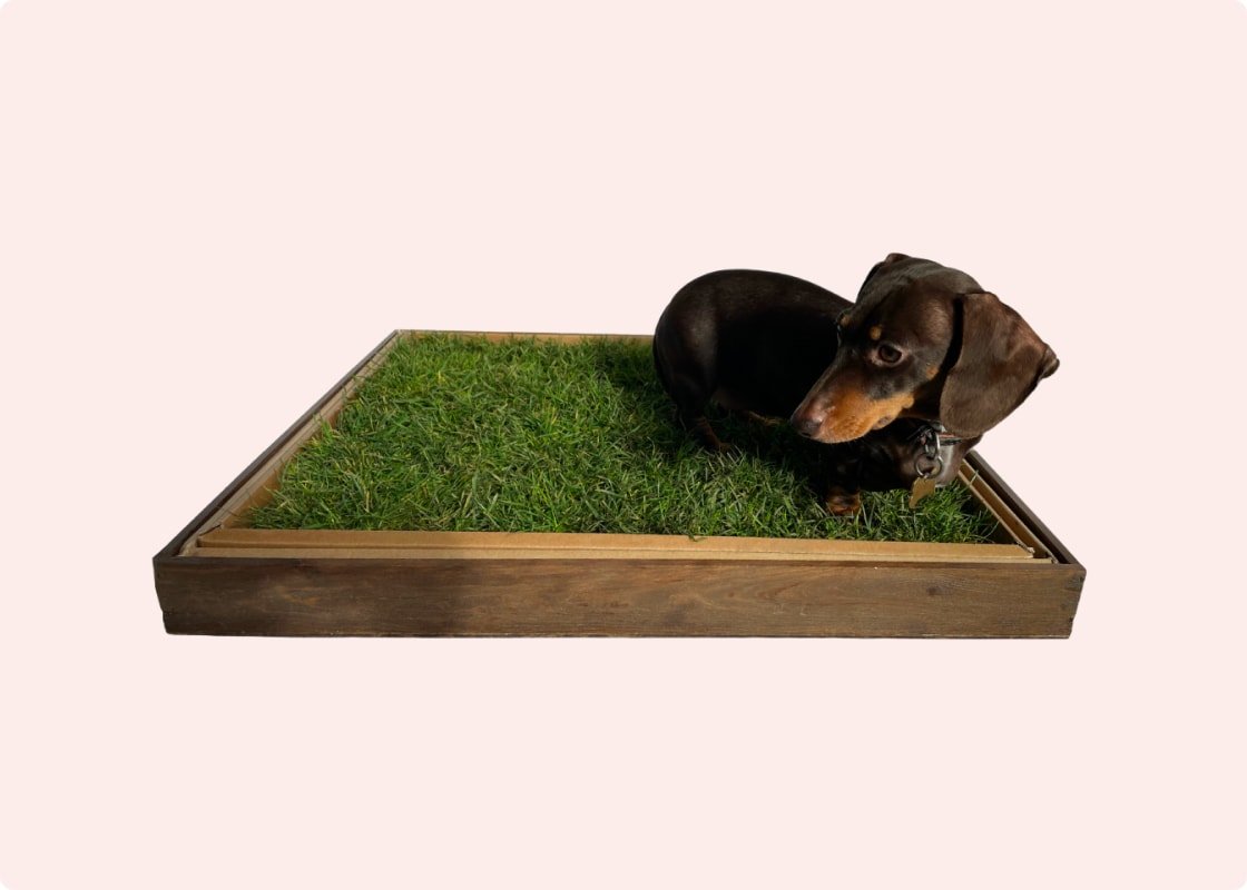 Dog Litter Tray For Real Grass Dog Toilet Wooden Tray City Doggo